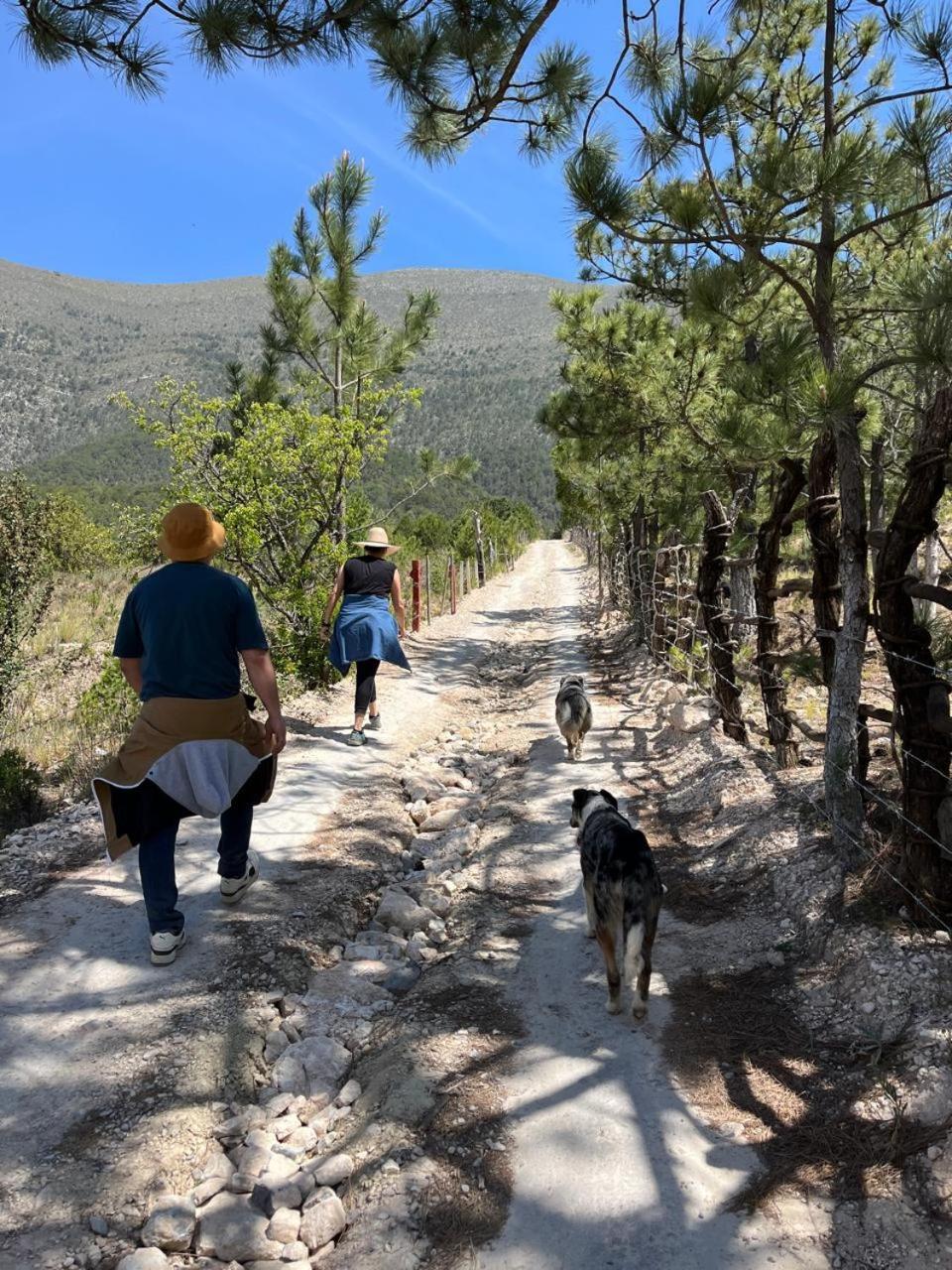 Camping En La Sierra De Arteaga Los Lirios Εξωτερικό φωτογραφία