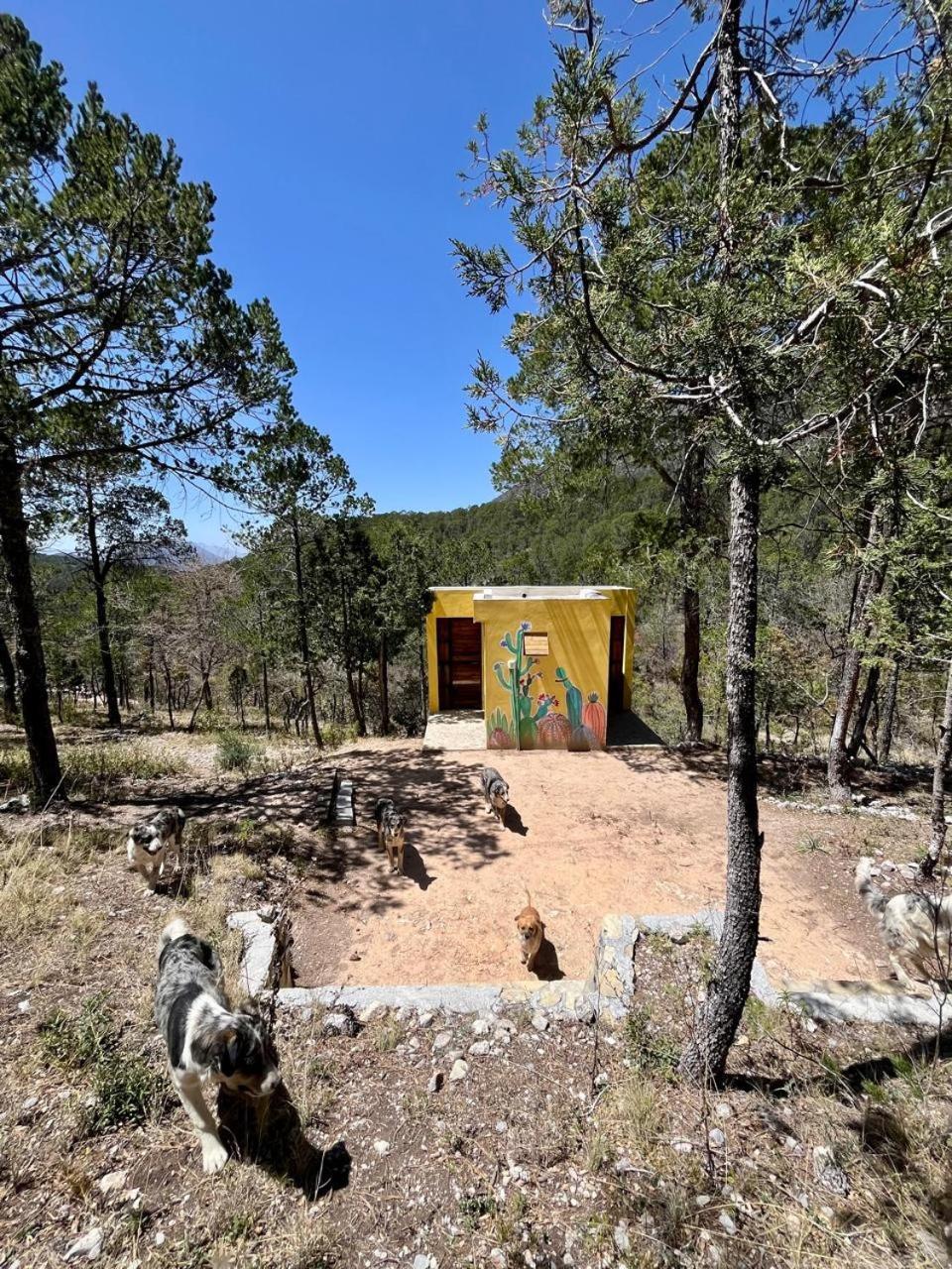 Camping En La Sierra De Arteaga Los Lirios Εξωτερικό φωτογραφία